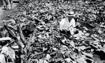 《狙殺太陽旗》：「死亡氣息無處不在，無所不及」，長崎原爆目擊者形容