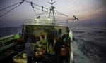 綠色和平調查報告　質疑有台灣漁船不當對待漁工