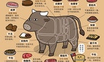 【插畫】牛肉大部分解：「牛粒」不是牛的哪一粒
