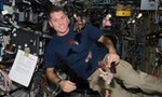 太空中漂浮的「開心農場」：為了讓太空人吃新鮮蔬菜，NASA成功在外太空種出萵苣