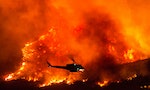 「寶寶性別揭曉派對」跑去草坡放煙火，加州夫婦釀火災燒毀逾7000英畝土地