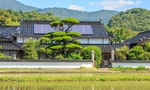 避免「假農作真種電」，日本如何在農山漁村導入再生能源設備？
