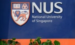 進退兩難的留學生求職困難又無法回國，可能還得賠錢給新加坡