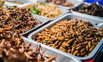 蛋白質高、脂肪含量低，遠古祖先留下的食蟲文化適合現代養生嗎？