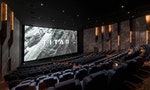 膝關節談台灣電影產業（上）：百億商機幕後的操盤策略，電影院如何找到分眾客群？