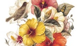 《植物情人》：台灣第一本水彩古典植物畫，花是大自然送給我們無時不在的禮物