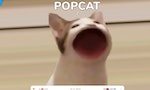 統治網路世界的「貓迷因」：宅宇宙的LOLcat文化