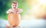 《科學實證養卵聖經》後續討論：為何每個生殖醫師都告訴你「養卵至少要三個月」？