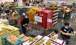 台灣零售業大洗牌：全聯併購大潤發，統一、遠東競標家樂福