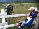 第7集旅遊平權-多重障礙小朋友恩恩初鹿牧場看乳牛