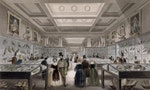 人類文明演進的起點：為什麼逛大英博物館，最好先從自然史展廳開始？