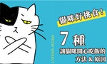 貓咪挑食首圖_工作區域-1-7