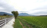 日本第一號國家自行車路線，「筑波霞浦鈴鈴自行車道」的寧靜與美麗