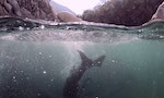 溪流潛水：台灣山澗極具觀光潛力的極限運動