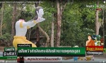 從僧人「斷頭台自殺」事件看泰國的殉教成佛信仰