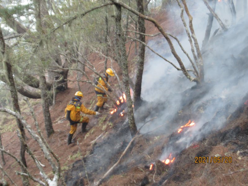 嘉義林管處：森林護管員為滅火多人受傷