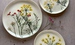 將植物押花融入溫潤質樸的陶瓷：Hessa Al Ajmani療癒身心的花草陶器