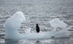 「南冰洋」列世界第五大洋！專家：除了我們地理宅，所有人都該認識南冰洋的重要性