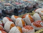 新加坡超市舉辦高雄農產品節 主打芒果葡萄等