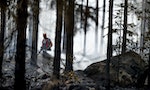 芬蘭面臨50年來最嚴重森林大火，歐洲熱浪導致多國野火不斷