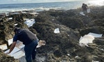 除了塑膠、垃圾以及油污染，還有哪些「看不見」的海洋保育隱形殺手？