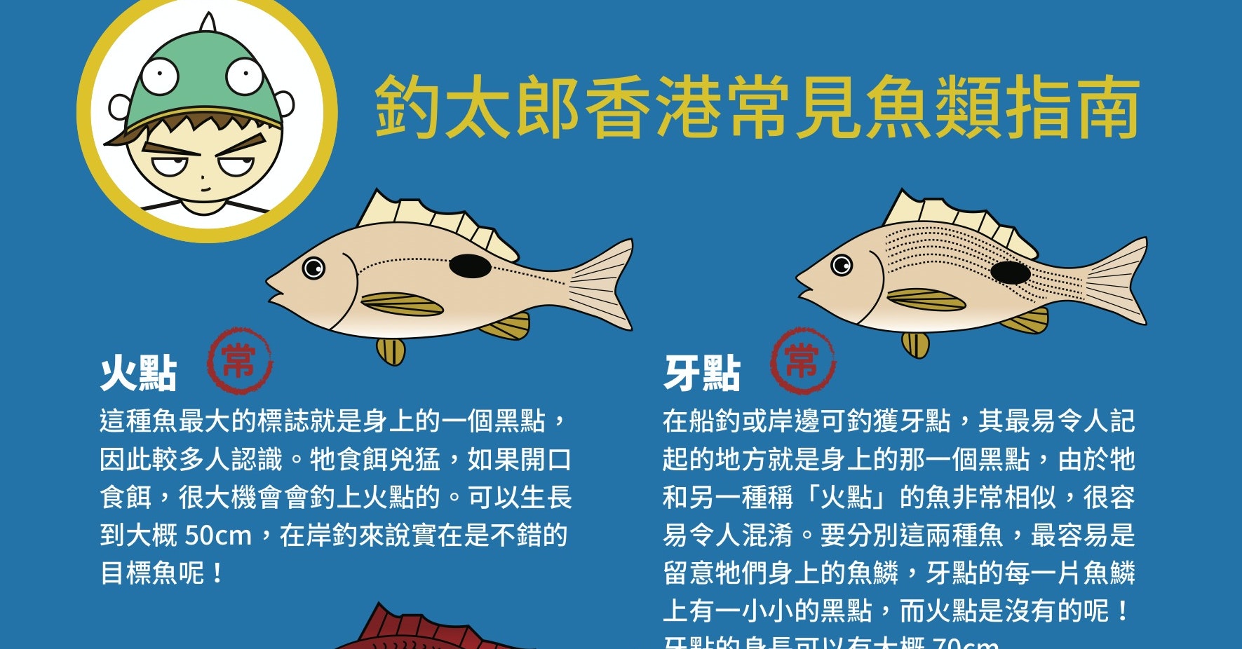 香港釣太郎》：常見魚類指南——烏頭常在岸邊「遊憩」、黃腳鱲「釣完又釣」⋯⋯ The News Lens 關鍵評論網