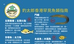 《香港釣太郎》：罕見魚類指南——東星斑食餌兇猛、虱目魚「釣味濃」⋯⋯
