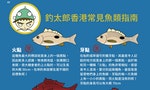 《香港釣太郎》：有毒海洋生物指南——水母觸手可「炸傷」、獅子魚刺中可致命⋯⋯