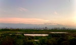 台北市的稻浪：食農教育、生態保育、防洪降溫，「關渡平原」不應只從農業生產的角度檢視
