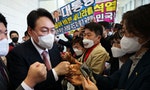 韓國年輕人看總統大選：無力解決經濟與就業問題，兩大黨「都不想選」