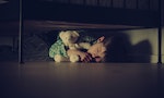紐西蘭研究：國小學童每晚少睡39分鐘，身心狀態及學校參與表現就會變差