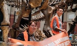 德國環保人士自黏在恐龍骨架下抗議，藝術界喊話停止「適得其反」的破壞行徑