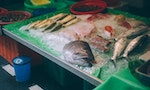 選魚選僵直硬梆梆，看魚找虹光閃亮亮——魚販親傳的市場選魚指南