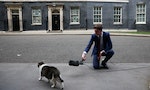誰來接任英國首相？内閣辦公室首席「捕鼠大臣」賴瑞似乎是最佳選擇