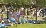 邊擺攤邊在一旁的躺椅上作日光浴：芬蘭人的夏日樂趣——戶外跳蚤市集