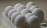 火鍋沾醬加顆生雞蛋可以嗎？比起膽固醇，更應該擔心沙門氏菌危害