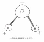 咖啡物理學_圖P56