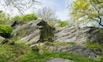 曼哈頓石頭記：紐約中央公園「自然與人工」地景豐富多彩的內涵