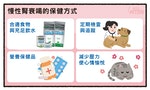 220126法米納_關鍵評論網_腎病犬貓飲食照護-06