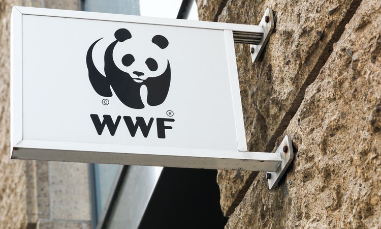 英國WWF發售NFT替瀕危物種募款，遭轟「高碳排」後急下架，同時激怒環團跟幣圈
