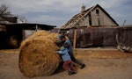 【圖輯】「世界糧倉」烏克蘭遭戰火摧殘，農民感嘆「我們種下了小麥，但是它們長得出來嗎？」