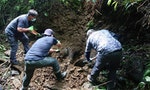 林務局發表《一隻台灣黑熊之死》紀錄片，盼國人反思人熊理性相處之道