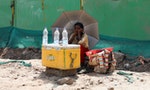 印度巴基斯坦連日熱浪破40度，小麥歉收、無電可用，專家：考驗人類生存極限