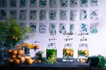 6_節氣飲食研究室是種籽設計自主發起的計畫。（圖片提供／種籽設計）