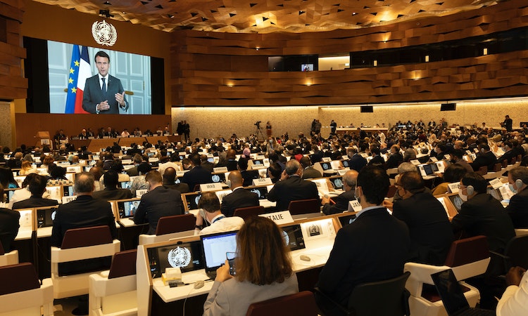 第75屆世界衛生大會觀察：國際爭端與國內意識形態的折射，以及年年延燒的以巴衝突與台灣入會案