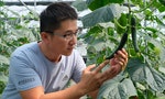 【未來大人物】高學歷農夫正當道！微醺農場黃衍勳以科技務農，為台灣智慧農業鋪第一哩路