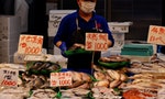 瞞報數量、盜賣漁獲、產地造假，日本漁業第一線連環爆出不法醜聞