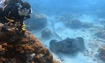 世界級潛點、綠島石朗保護區珊瑚礁多次遭工程船錨鍊破壞，民眾痛批「猶如生物的屠宰場」