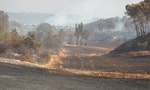 熱浪襲歐洲氣溫飆破45度火警不斷，葡萄牙村民驚愕如見「末日場景」