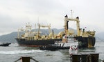 Is Japan’s Whaling Industry Going Under as Demand Sinks?
